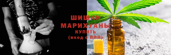 амф Гусиноозёрск